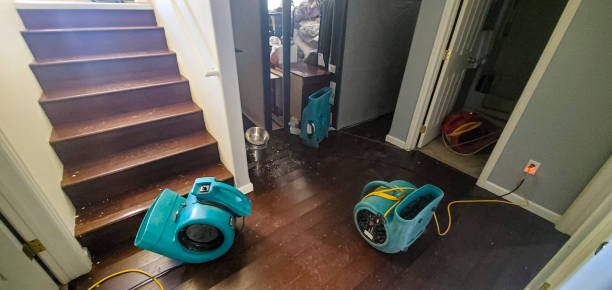 Best Flooded house restoration  in Putney, GA