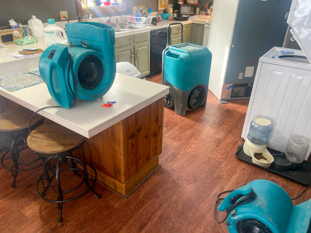 Best Professional water damage repair  in Putney, GA