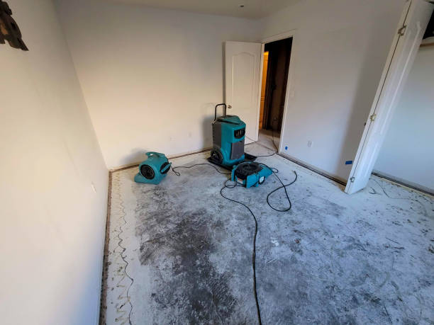 Best Water damage restoration near me  in Putney, GA