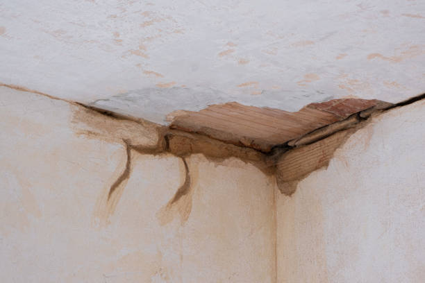 Best Basement water damage restoration  in Putney, GA