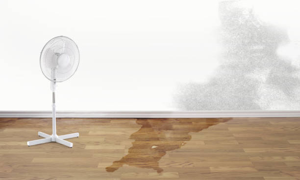 Best Commercial water damage restoration  in Putney, GA