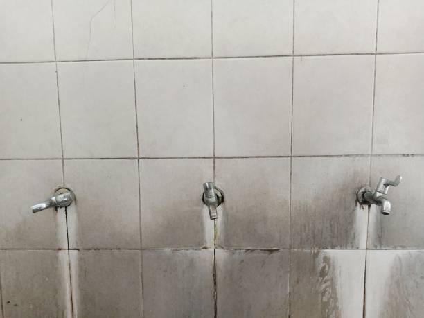 Best Ceiling water damage repair  in Putney, GA