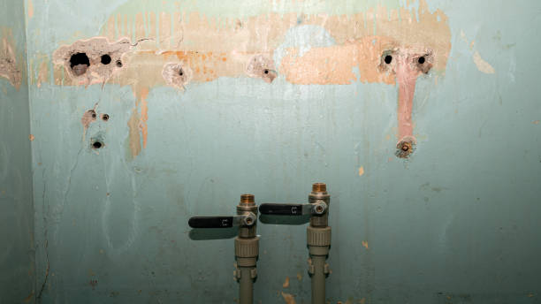 Best Water damage restoration cost  in Putney, GA