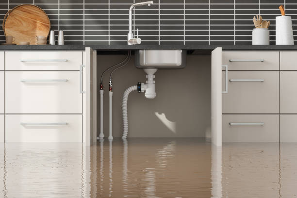 Best Mold removal after water damage  in Putney, GA