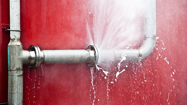Best Flood damage cleanup  in Putney, GA