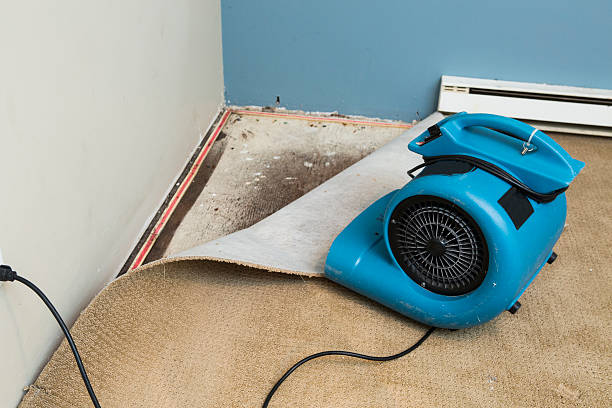 Best Water damage cleanup near me  in Putney, GA